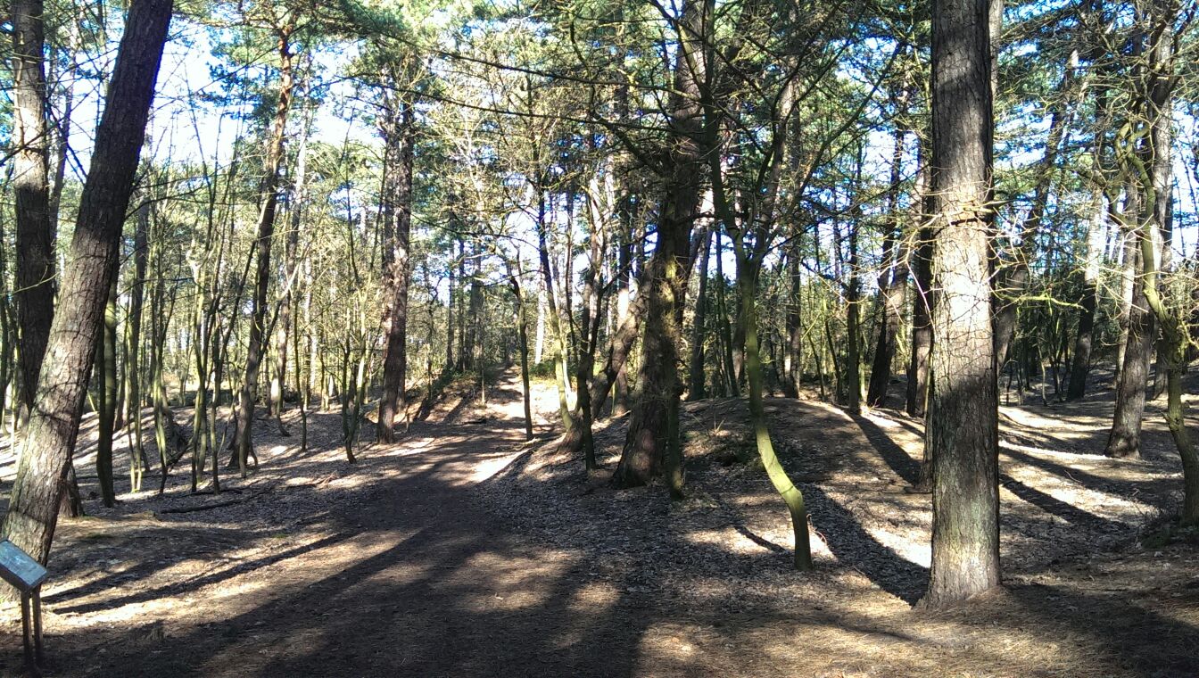 landschaft 5 landschaft 5